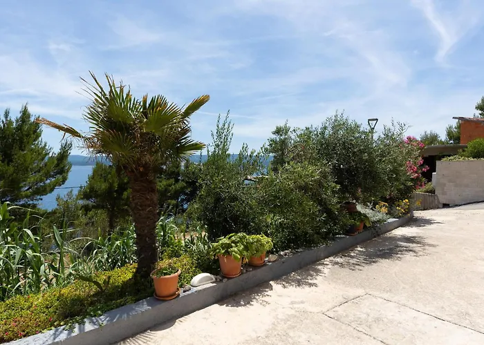 Amazing In With Wifi Daire *