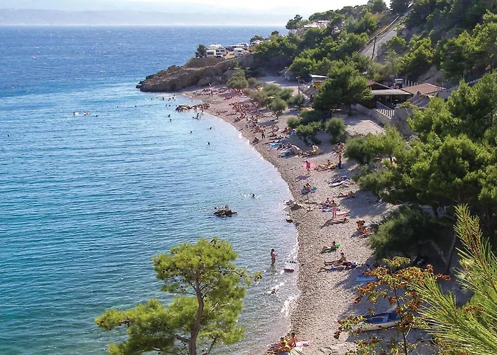 Amazing In With Wifi *